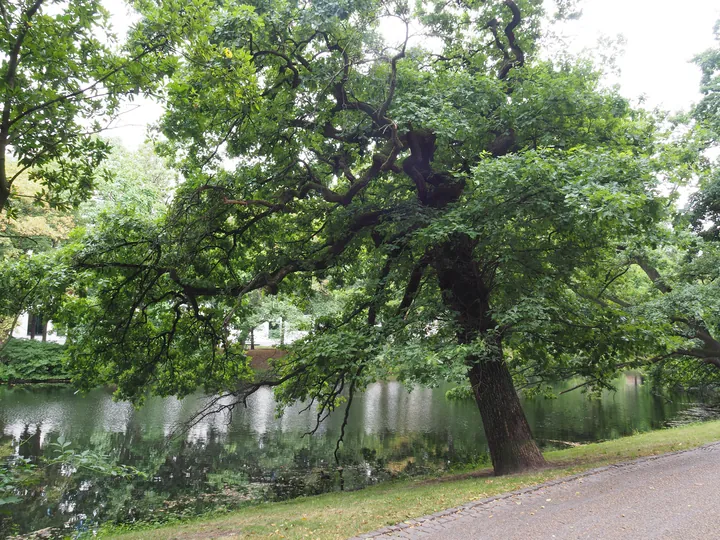 Bremen (Germany)